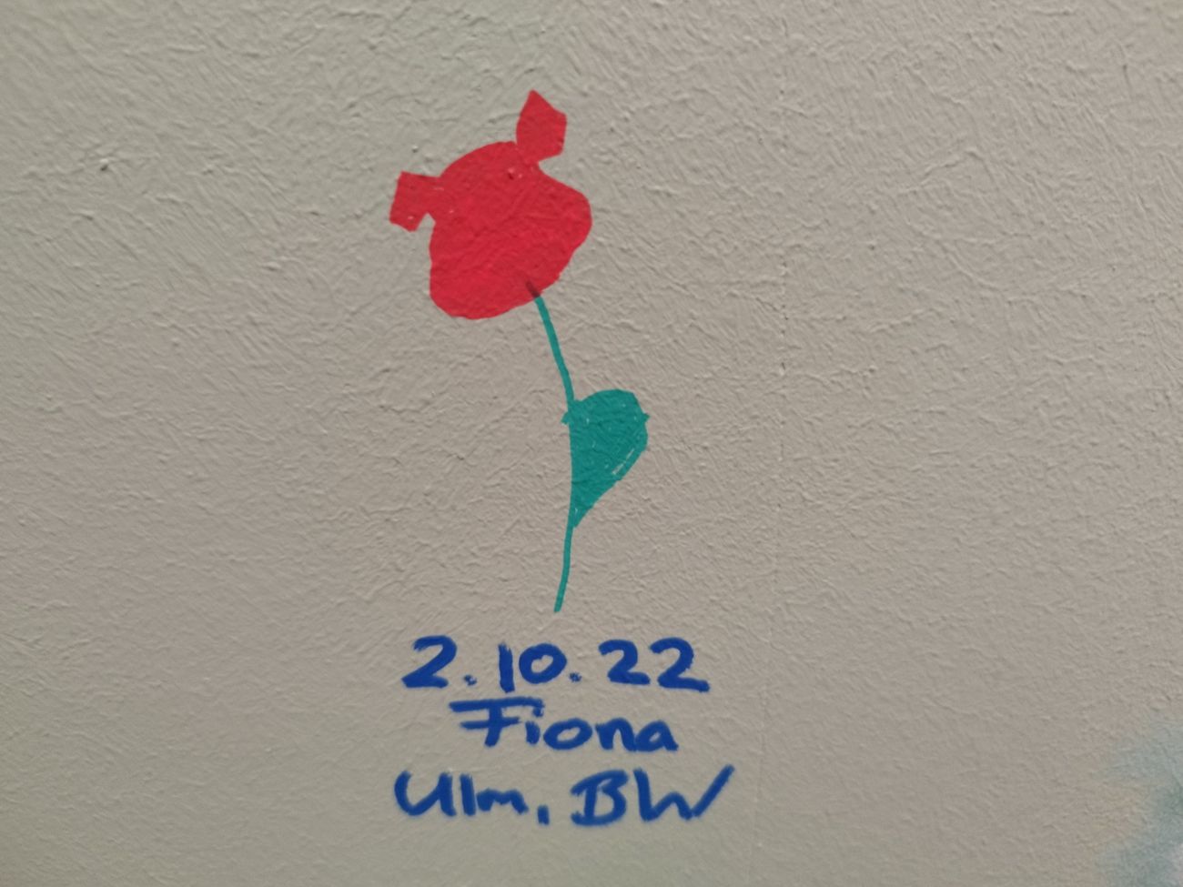 Blume saustark - umdieWurst.de