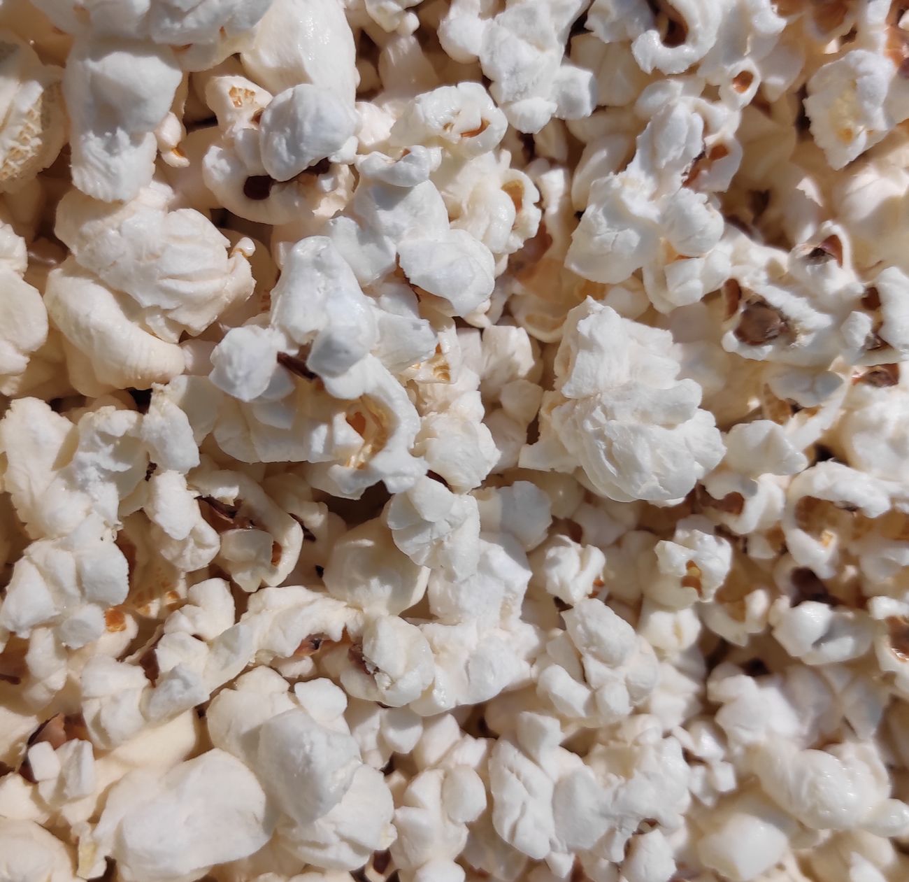 Popcorn-BRATWURST  - umdieWurst.de